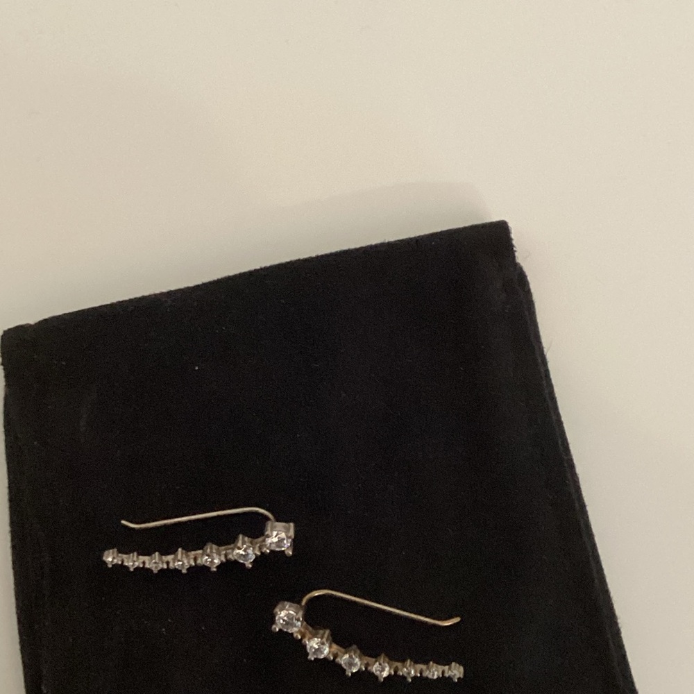 Elegant Silver Earrings